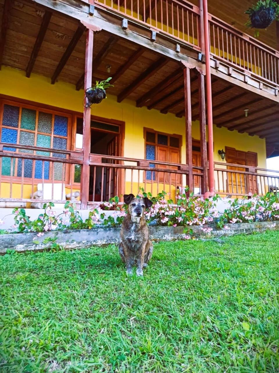 Filandia - Finca Rural La Guadalupana Hotel Exterior photo
